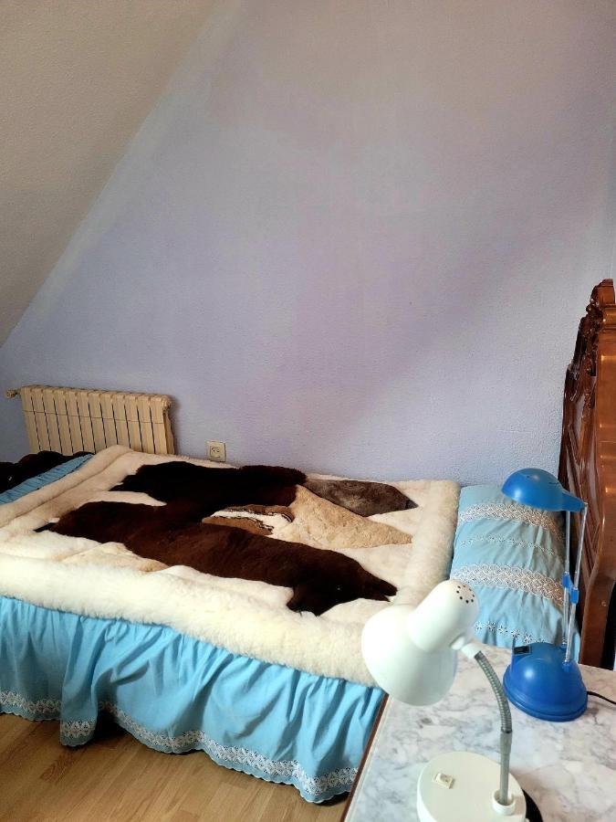 Appartement Palau 2 à Valence Extérieur photo